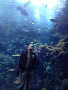 Terahl at the Georgia Aquarium.